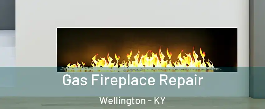 Gas Fireplace Repair Wellington - KY