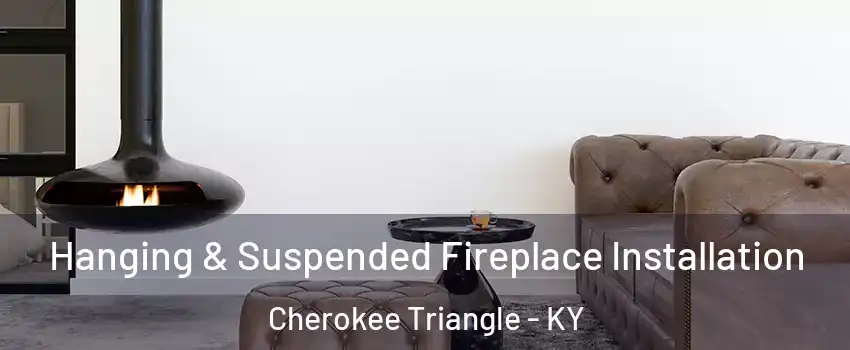 Hanging & Suspended Fireplace Installation Cherokee Triangle - KY