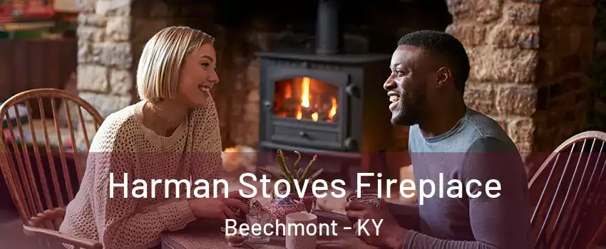 Harman Stoves Fireplace Beechmont - KY