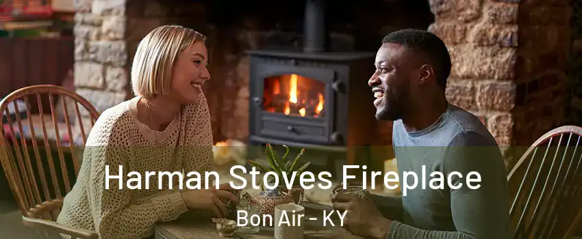 Harman Stoves Fireplace Bon Air - KY