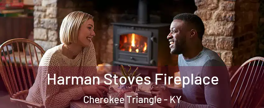 Harman Stoves Fireplace Cherokee Triangle - KY