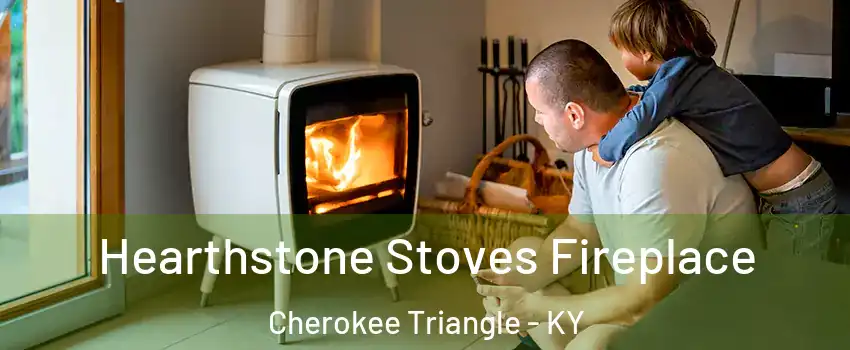 Hearthstone Stoves Fireplace Cherokee Triangle - KY