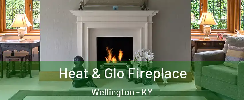 Heat & Glo Fireplace Wellington - KY