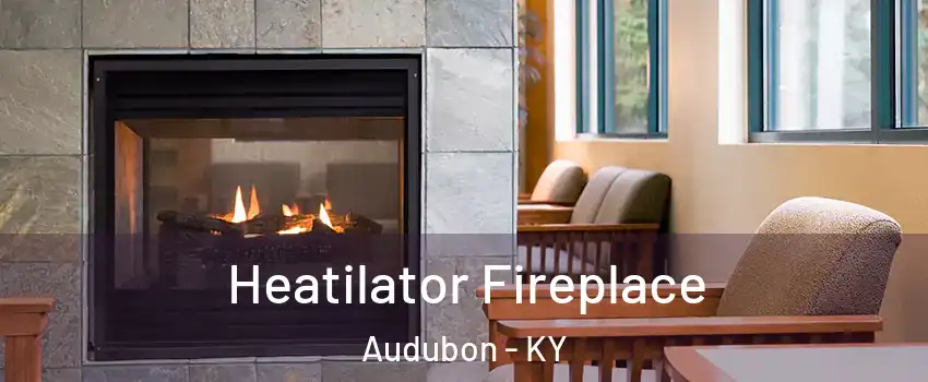 Heatilator Fireplace Audubon - KY