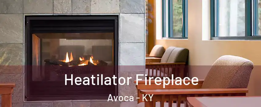 Heatilator Fireplace Avoca - KY