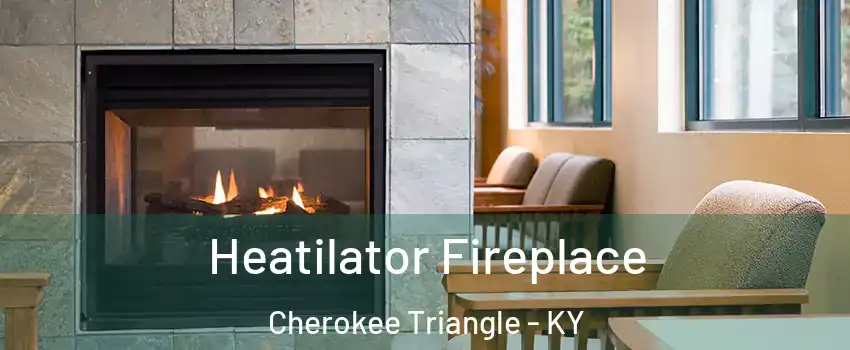 Heatilator Fireplace Cherokee Triangle - KY