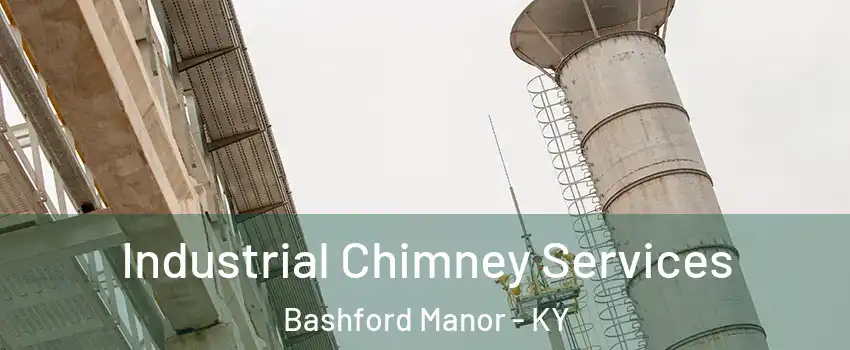 Industrial Chimney Services Bashford Manor - KY