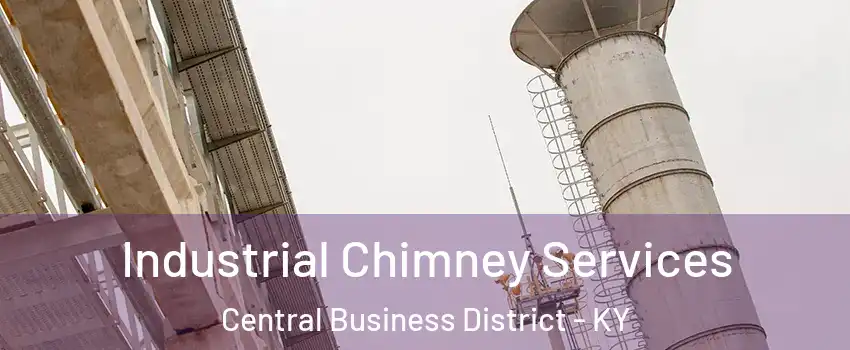 Industrial Chimney Services Central Business District - KY