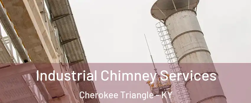 Industrial Chimney Services Cherokee Triangle - KY