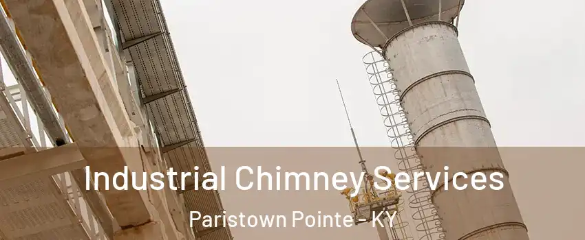 Industrial Chimney Services Paristown Pointe - KY