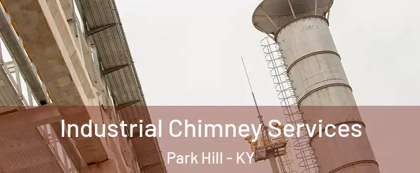 Industrial Chimney Services Park Hill - KY