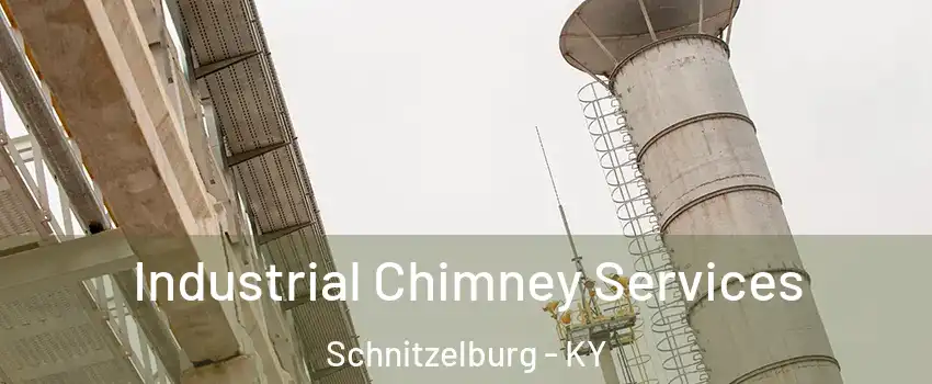 Industrial Chimney Services Schnitzelburg - KY