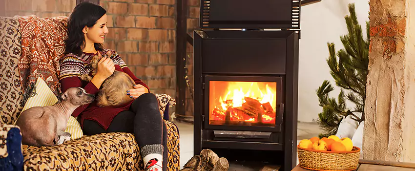 Wood Stove Chimney Cleaning Services in Valley Station, KY