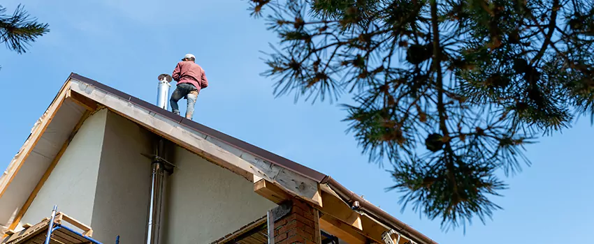 Birds Removal Contractors from Chimney in Bon Air Estates, KY