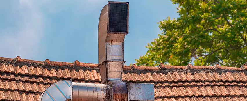 Chimney Blockage Removal in Lake Louisvilla, Kentucky