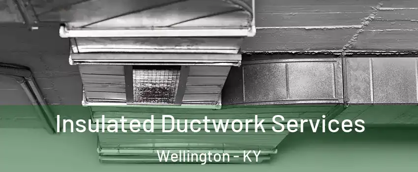 Insulated Ductwork Services Wellington - KY