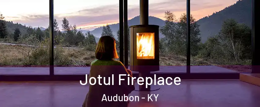 Jotul Fireplace Audubon - KY