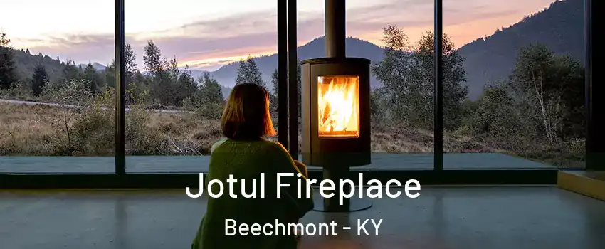 Jotul Fireplace Beechmont - KY