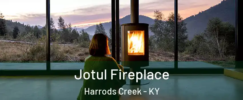 Jotul Fireplace Harrods Creek - KY