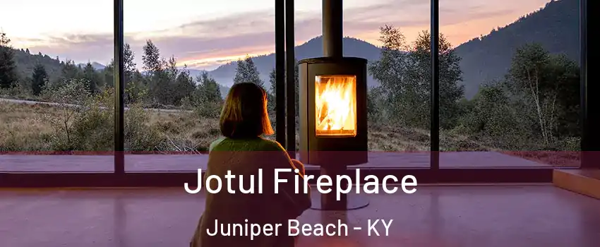 Jotul Fireplace Juniper Beach - KY