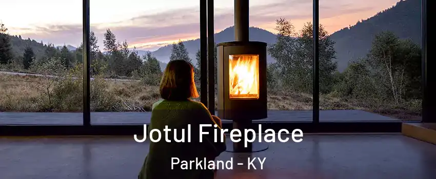 Jotul Fireplace Parkland - KY