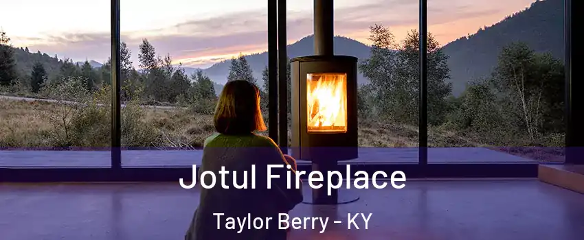 Jotul Fireplace Taylor Berry - KY