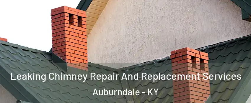 Leaking Chimney Repair And Replacement Services Auburndale - KY