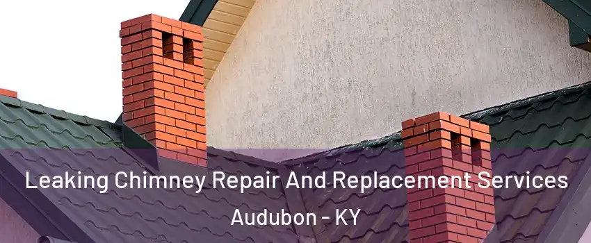 Leaking Chimney Repair And Replacement Services Audubon - KY