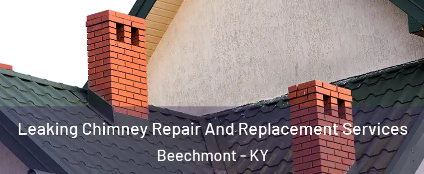 Leaking Chimney Repair And Replacement Services Beechmont - KY