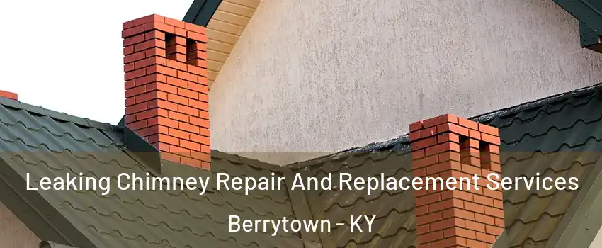 Leaking Chimney Repair And Replacement Services Berrytown - KY