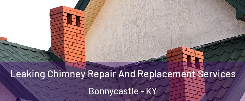 Leaking Chimney Repair And Replacement Services Bonnycastle - KY