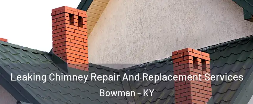 Leaking Chimney Repair And Replacement Services Bowman - KY