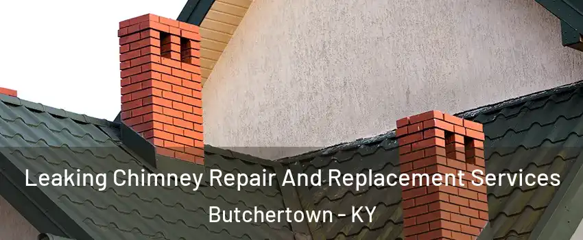 Leaking Chimney Repair And Replacement Services Butchertown - KY