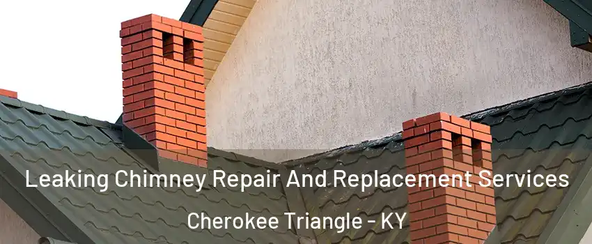 Leaking Chimney Repair And Replacement Services Cherokee Triangle - KY