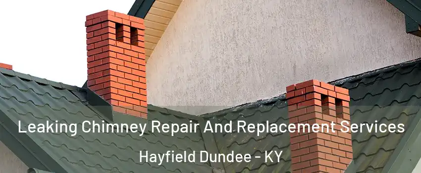 Leaking Chimney Repair And Replacement Services Hayfield Dundee - KY