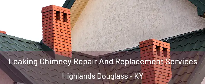 Leaking Chimney Repair And Replacement Services Highlands Douglass - KY