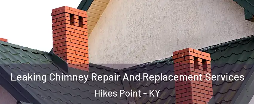 Leaking Chimney Repair And Replacement Services Hikes Point - KY