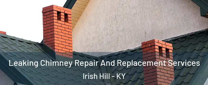 Leaking Chimney Repair And Replacement Services Irish Hill - KY