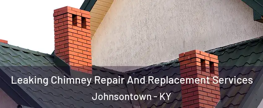 Leaking Chimney Repair And Replacement Services Johnsontown - KY