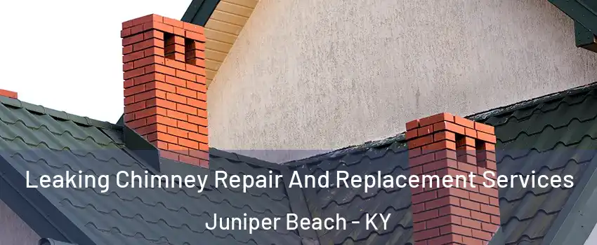 Leaking Chimney Repair And Replacement Services Juniper Beach - KY