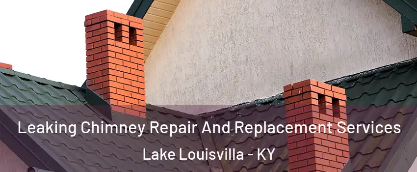 Leaking Chimney Repair And Replacement Services Lake Louisvilla - KY