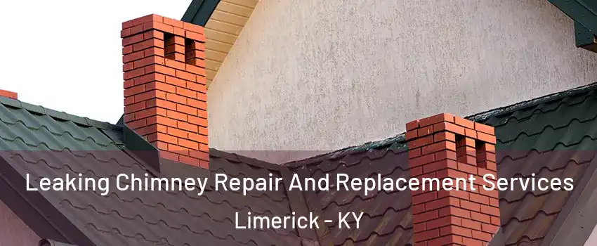 Leaking Chimney Repair And Replacement Services Limerick - KY