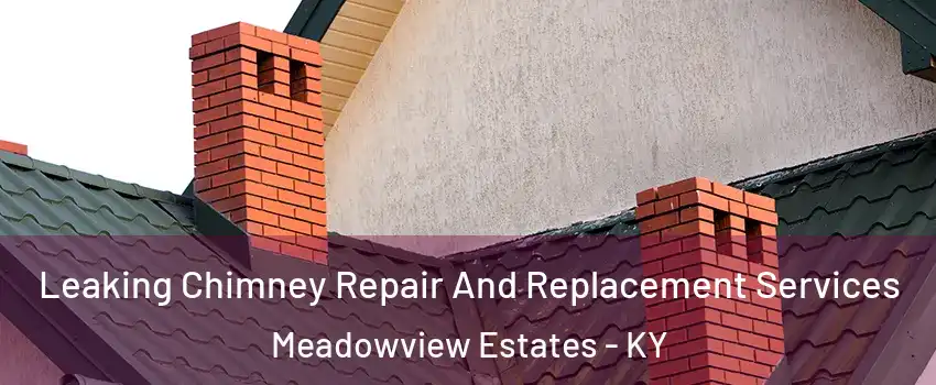 Leaking Chimney Repair And Replacement Services Meadowview Estates - KY