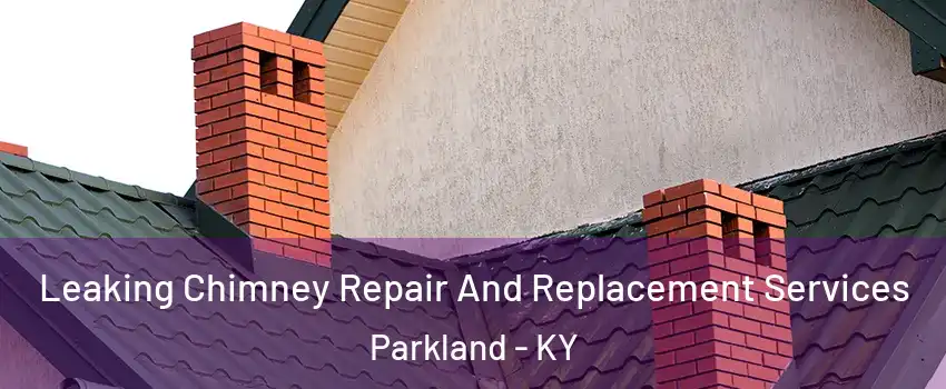 Leaking Chimney Repair And Replacement Services Parkland - KY