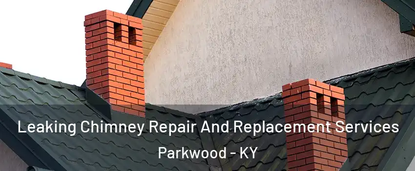 Leaking Chimney Repair And Replacement Services Parkwood - KY