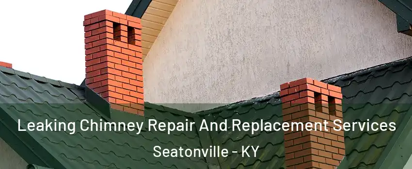 Leaking Chimney Repair And Replacement Services Seatonville - KY