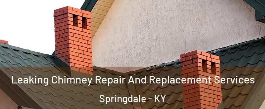 Leaking Chimney Repair And Replacement Services Springdale - KY