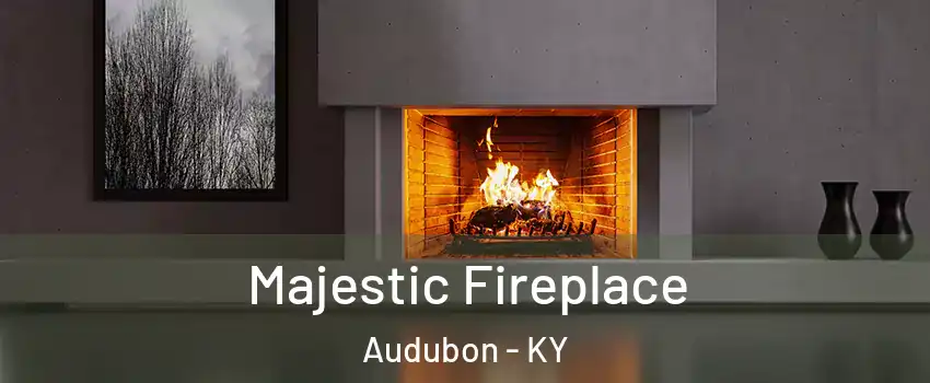 Majestic Fireplace Audubon - KY