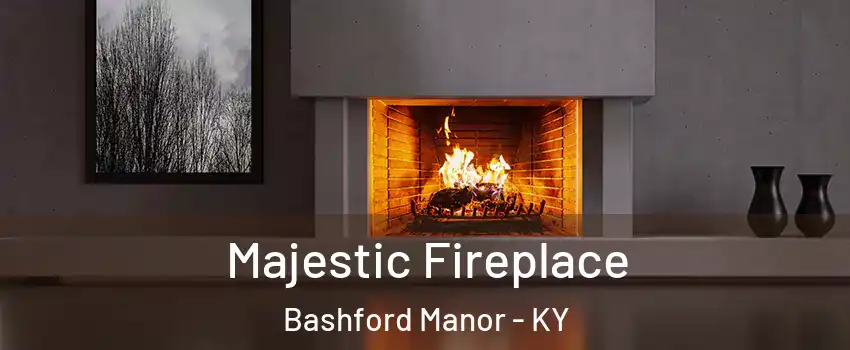 Majestic Fireplace Bashford Manor - KY