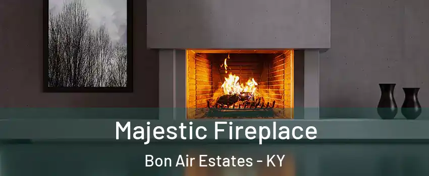 Majestic Fireplace Bon Air Estates - KY